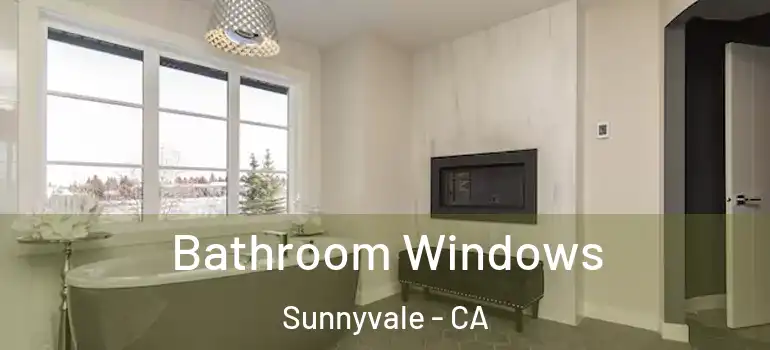  Bathroom Windows Sunnyvale - CA