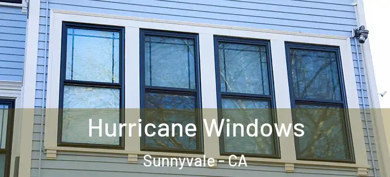  Hurricane Windows Sunnyvale - CA