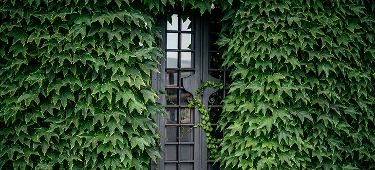 Garden Gate Repair in Sunnyvale, CA