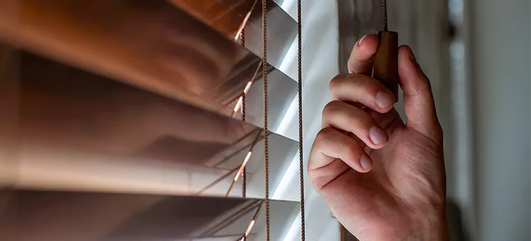 Double Roller Blinds in Sunnyvale, CA