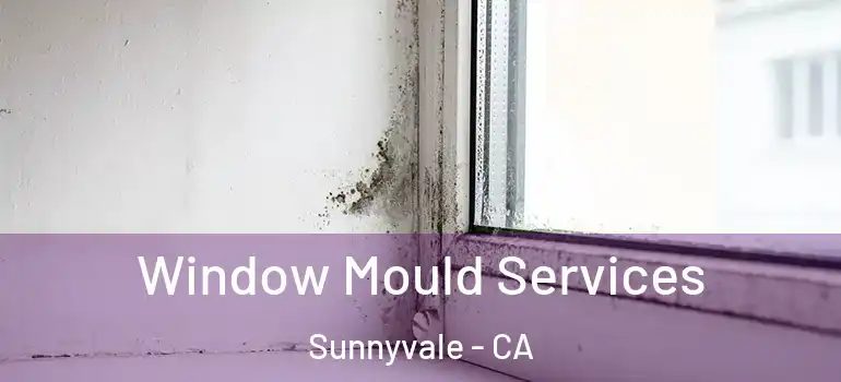  Window Mould Services Sunnyvale - CA